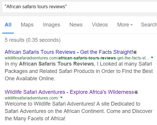 African Safari Tours Review — Screenshot of Google Search Result.