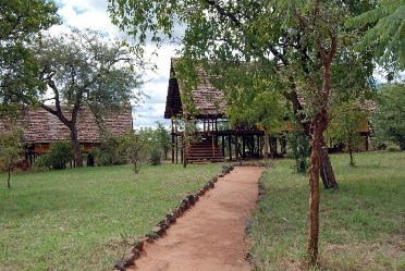 Kikoti safari camp — our lodge in the tarangire national park, tanzania.