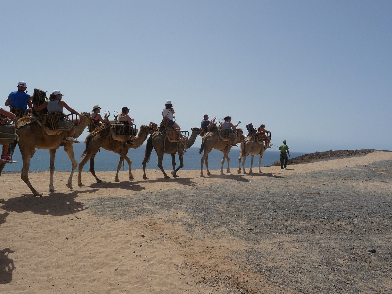 Camel caravan — back riding safari in the desert, africa.