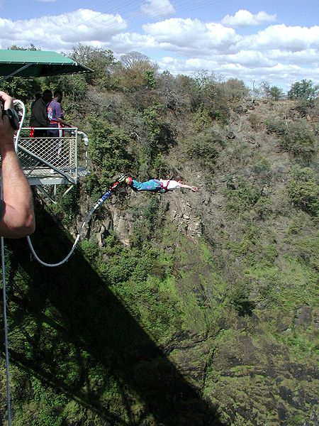 African safari vacations — bungee jumping in over victoria falls.