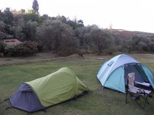 Tents