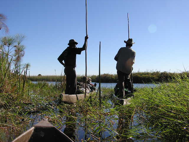 Family Safaris in Africa — Two Mokoro Polers Await for Hippos to Surface, Okavango Delta, Botswana.