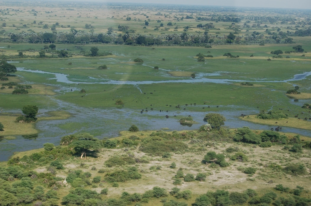 Botswana safari review — a view of the okavango delta, botswana.