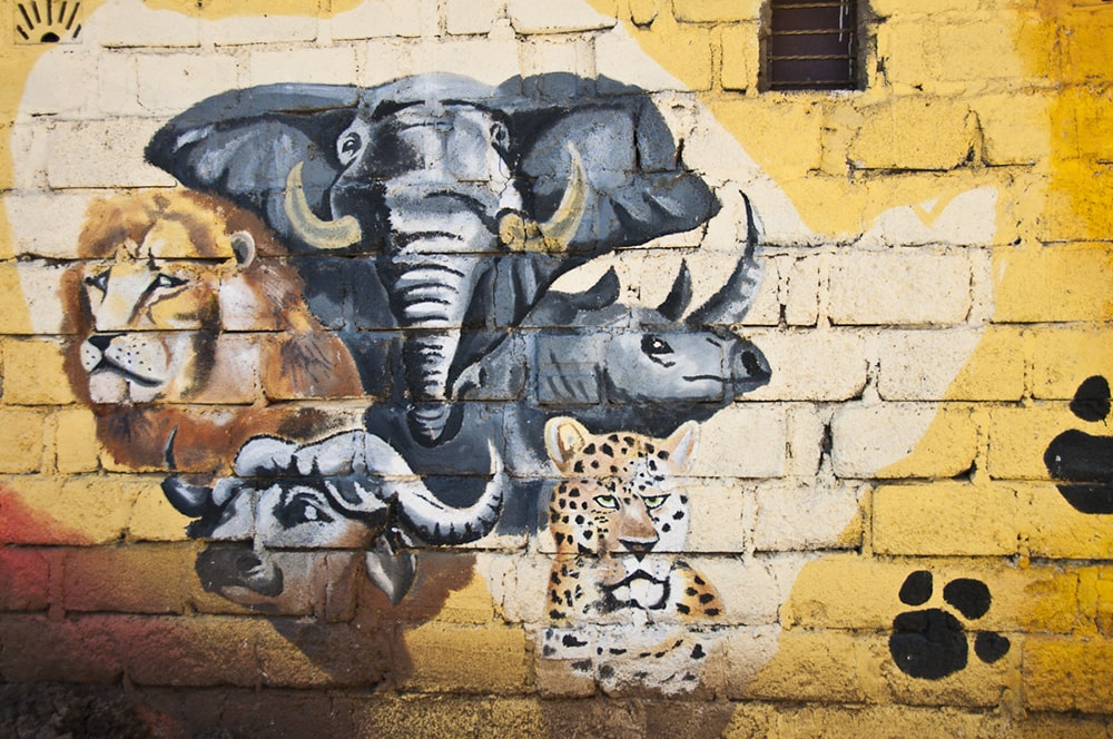African big five animals — graffiti in nanyuki.