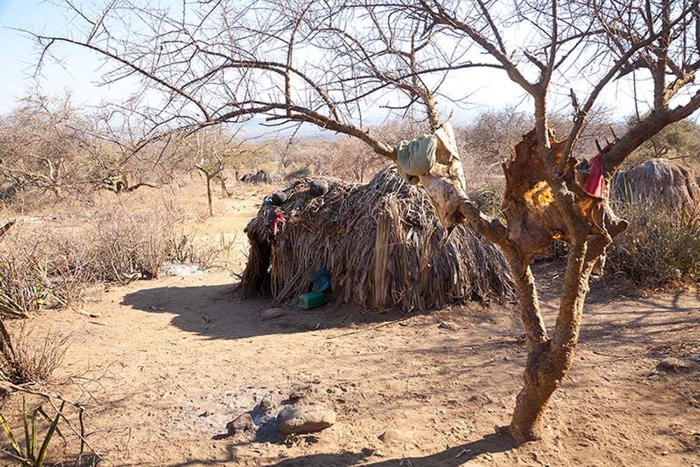 Hadzabe Tribe of Tanzania — Village Hut of the Hadzabe Tribe, Tanzania, Africa.