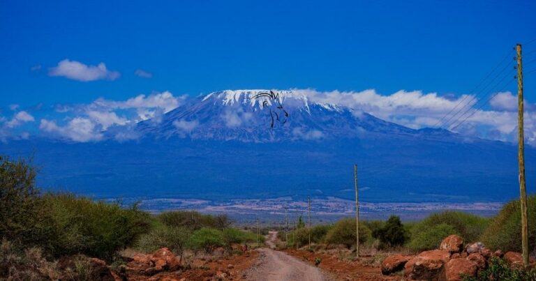 Kilimanjaro Routes Review — View of Mount Kilimanjaro.