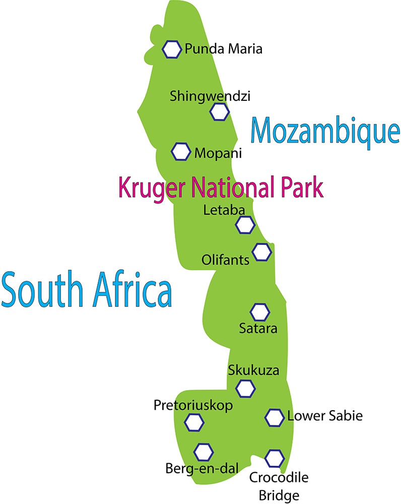 Kruger park safari review — map of the kruger national park showing the rest camps, south africa.