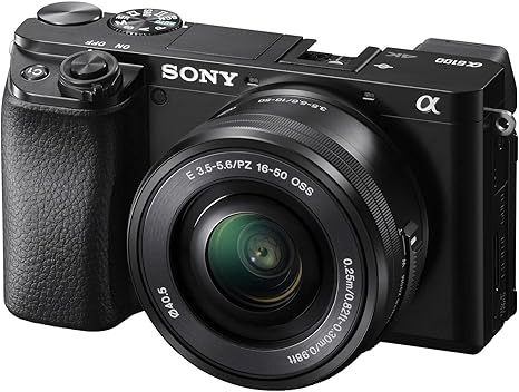 Sony alpha a6100 mirrorless camera, best overall camera for wildlife photography